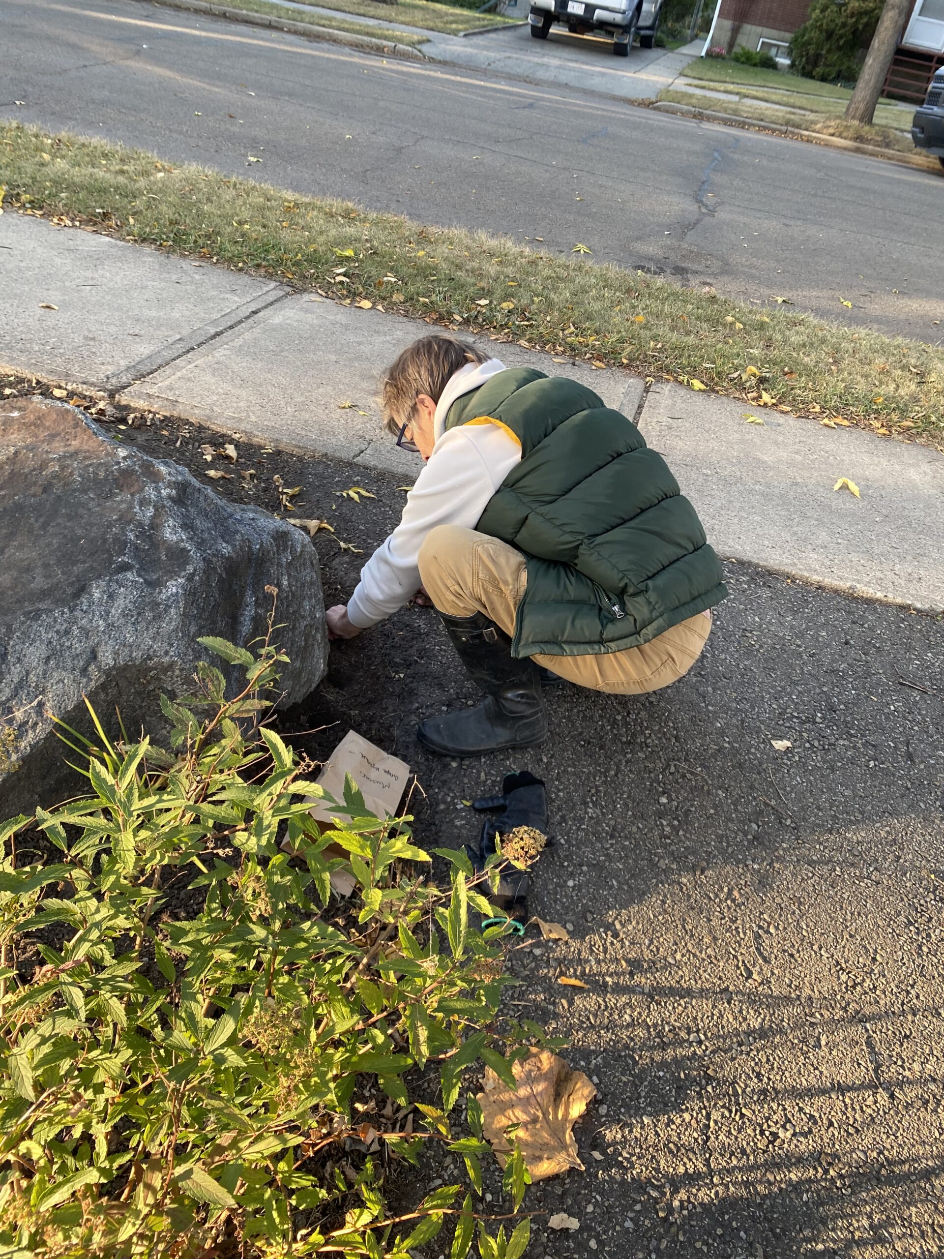 Jill planting Grape Hyacinths