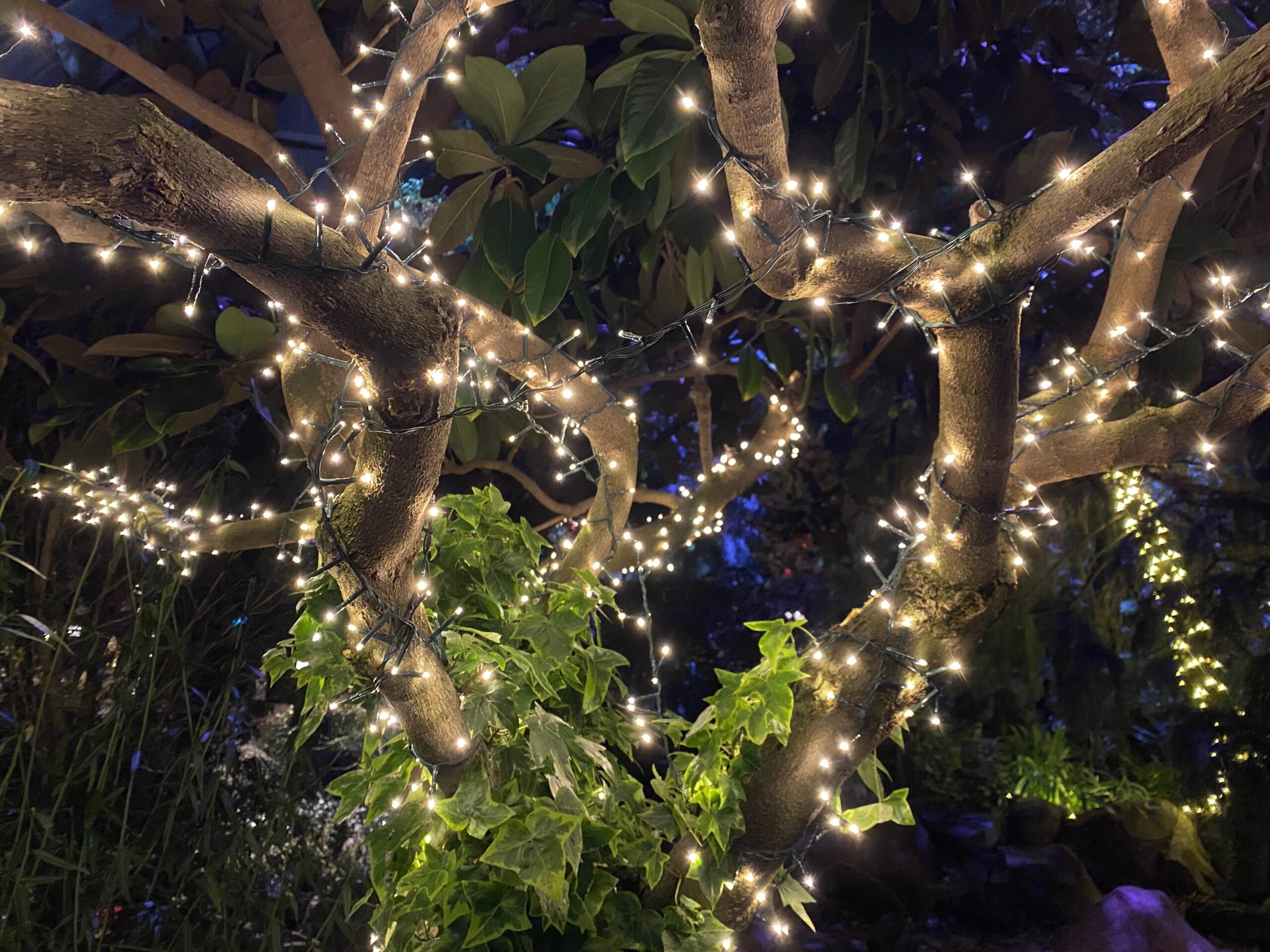 I highly recommend an evening visit!