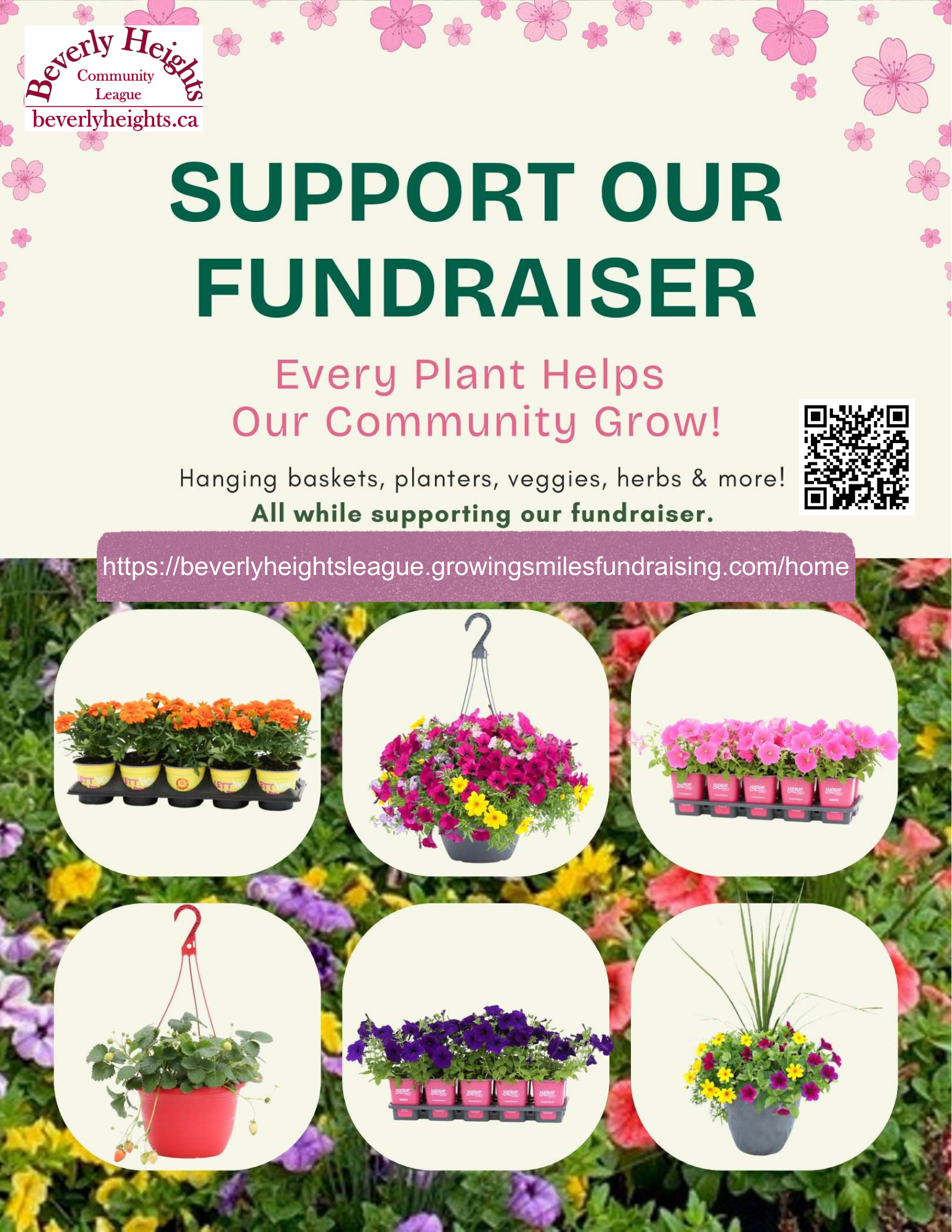 WG Fundraising Page 2